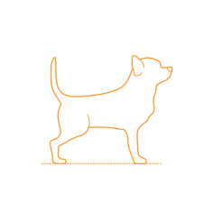 Animals Dogs Chihuahua Contour Svg Vector, Free Vectors File